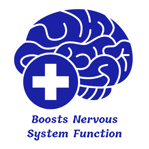 Boosts Nervous System Function